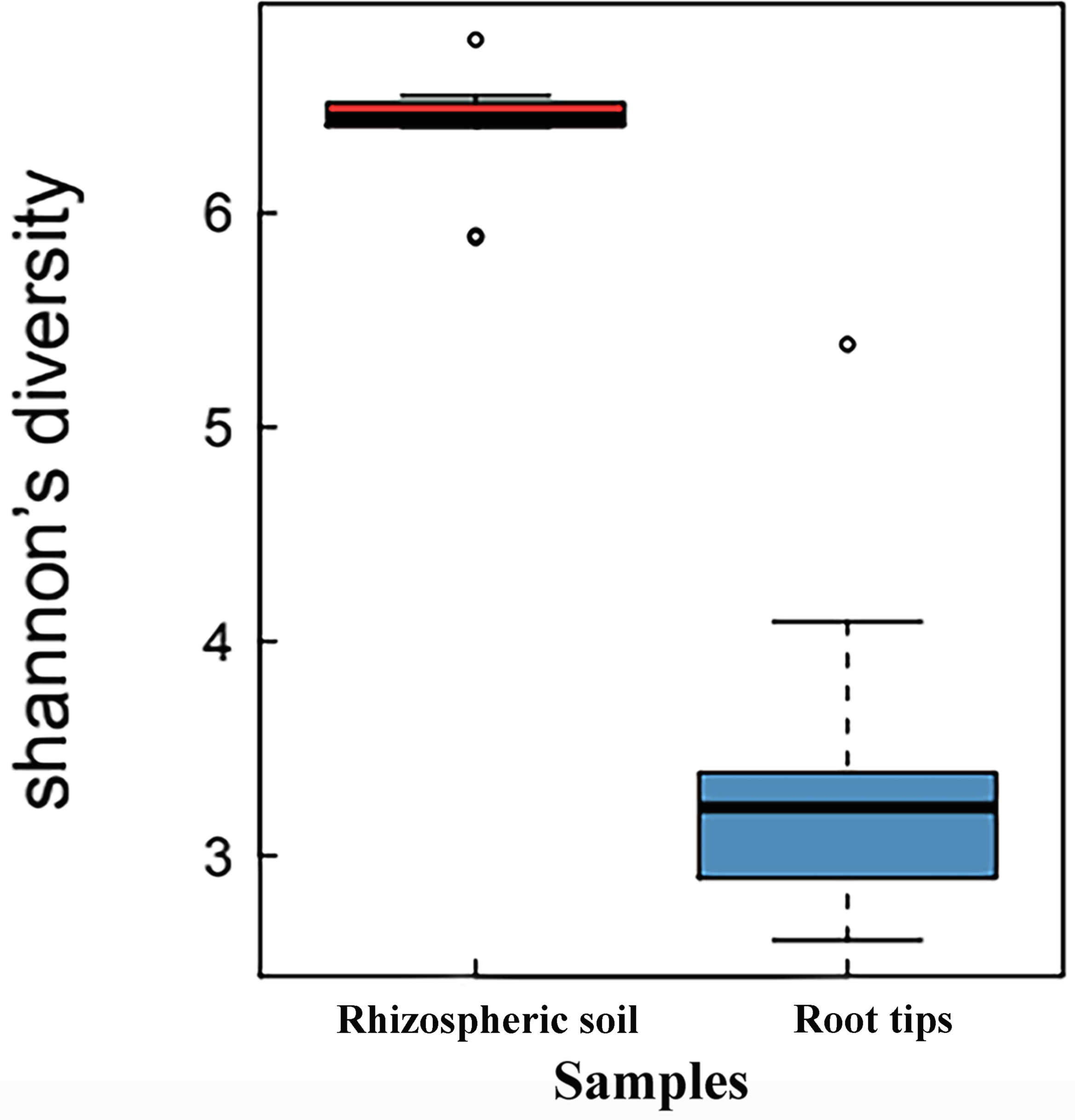 How many main pillars of digital marketing are there?