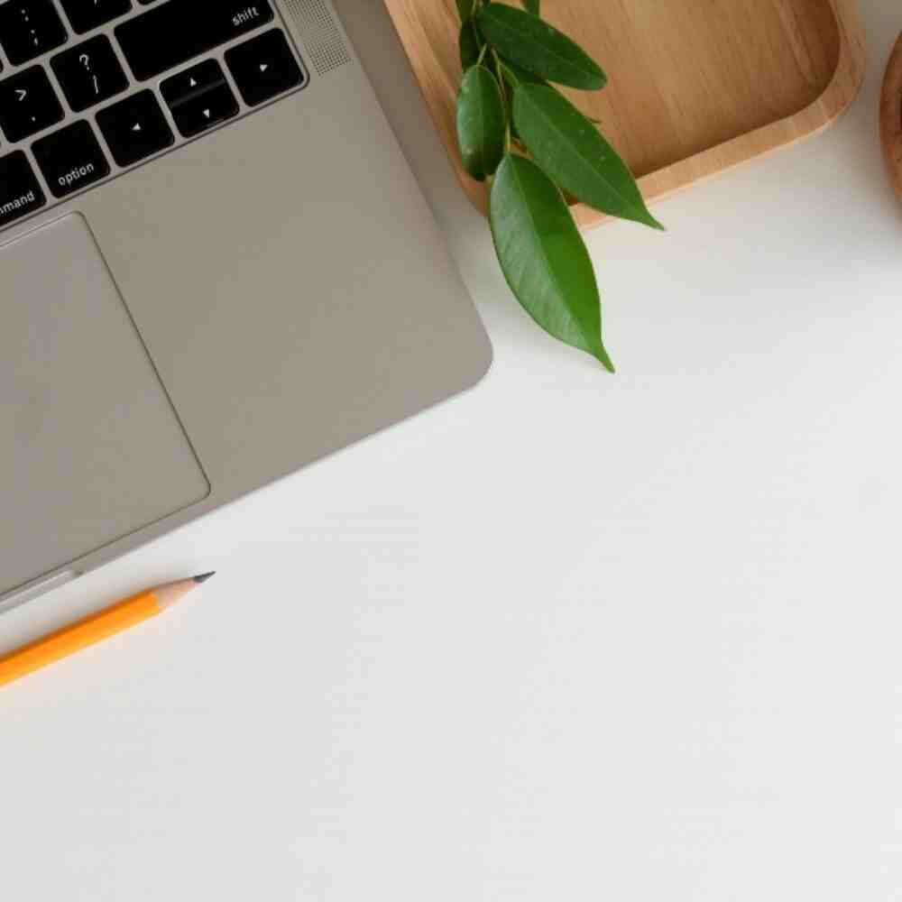 What is the most important in SEO?