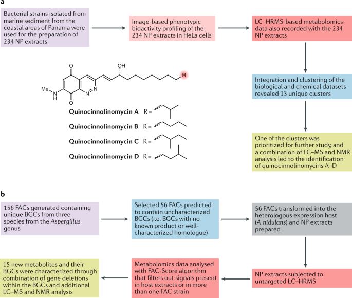 4. Find On-Page SEO Issues